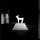 Cabra ibérica · Carlos Callejo Serrano, 1960
