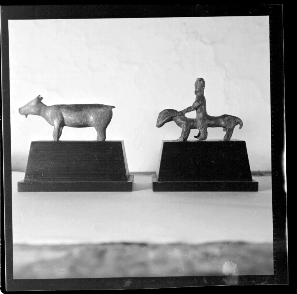 Cabra ibérica. Cabras 1536 y 1605