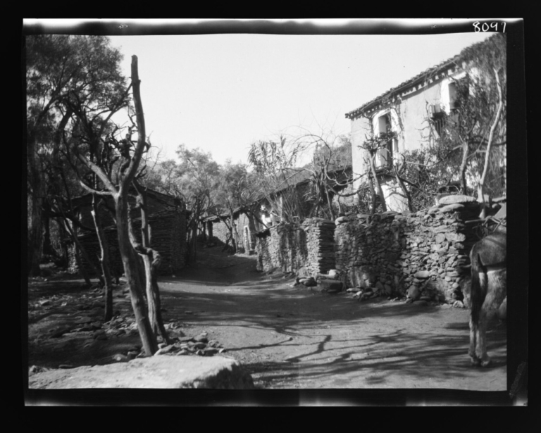 Calle principal del pueblo