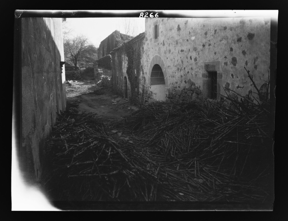 Callejón cubierto de tallos de tabaco