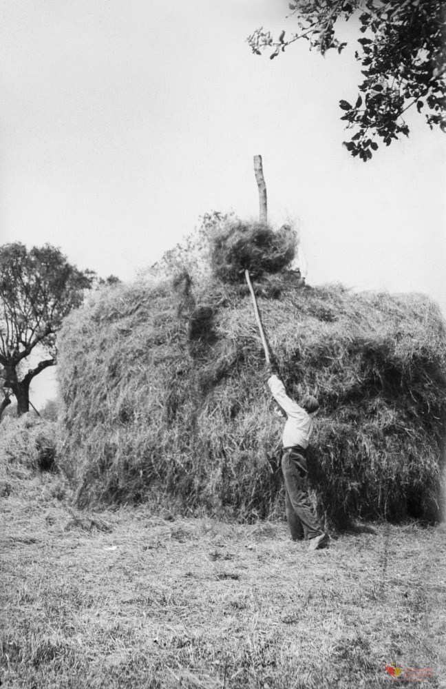 Campesino construyendo un pajar