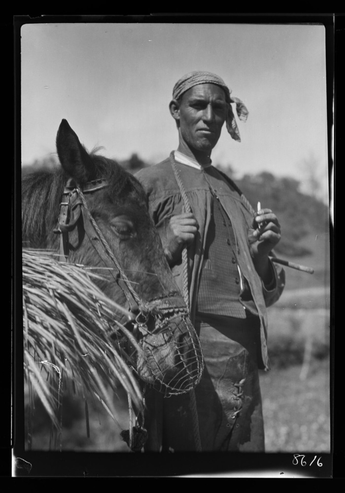Campesino y su caballo