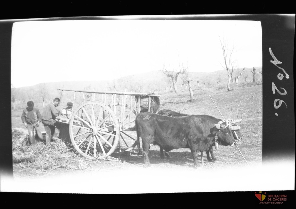 Campesinos cargan una carreta