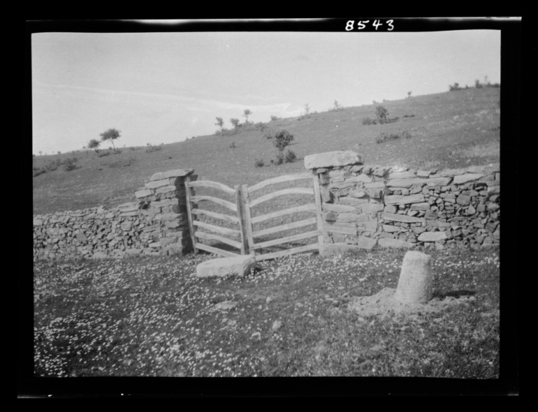 Campo, cerca y portera