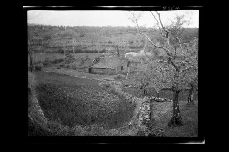 Campos, árboles y un molino