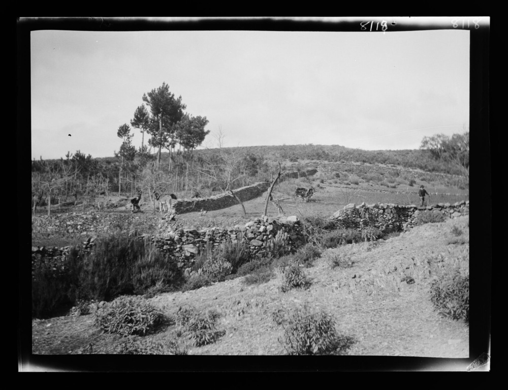 Campos cerca de El Horcajo