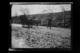 Carro de bueyes de dos ruedas cargado de abono para los campos · Ruth Matilda Anderson, 1928