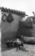 Cerdos · Antonio González Martín-Gamero, 1900