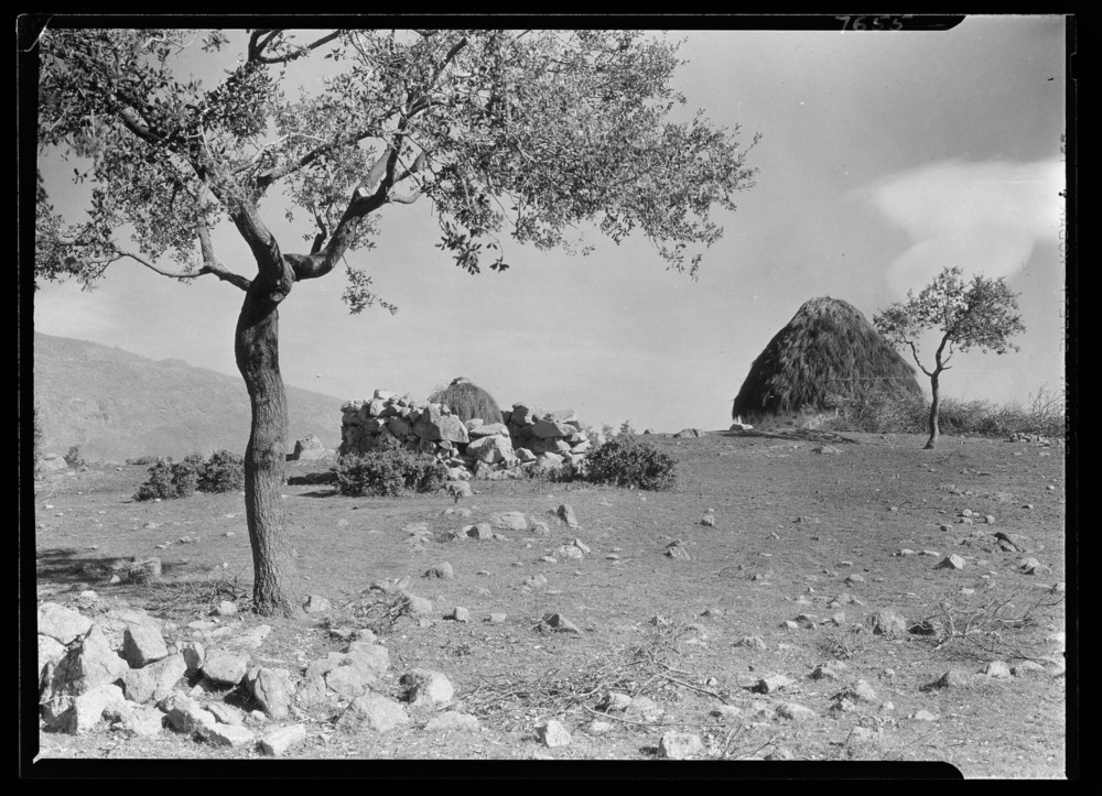Choza de pastor de piedra, argamasa y retama