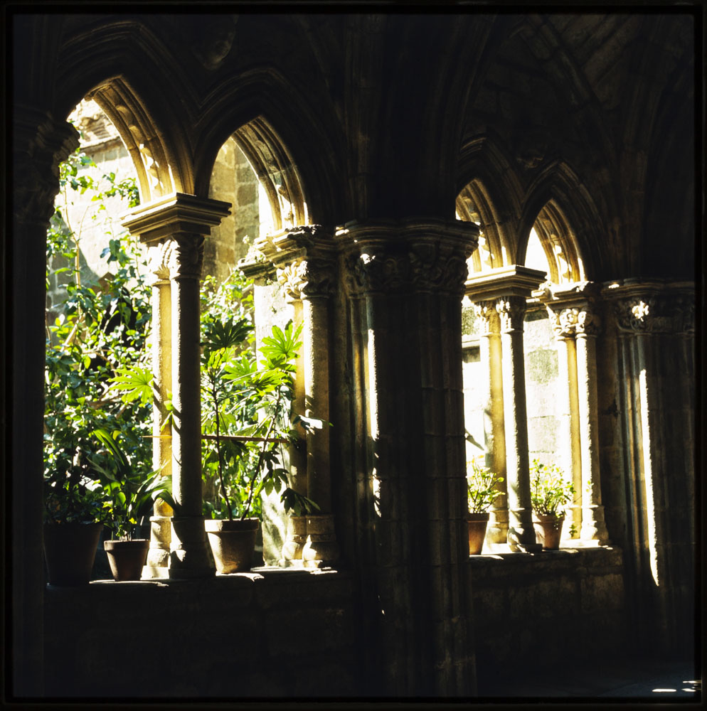 Claustro de la catedral de Plasencia