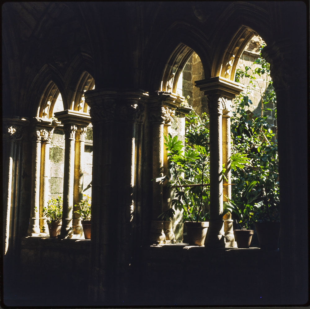 Claustro de la catedral de Plasencia · Luis Agromayor