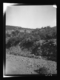 Cruz de las Ánimas junto al camino · Ruth Matilda Anderson, 1928