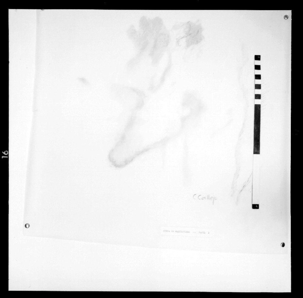 Cueva de Maltravieso. Calcos pinturas. Panel 1