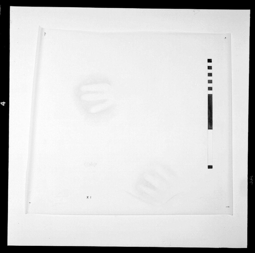 Cueva de Maltravieso. Calcos pinturas. Panel 11