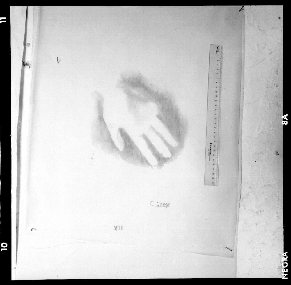 Cueva de Maltravieso. Calcos pinturas. Panel 12