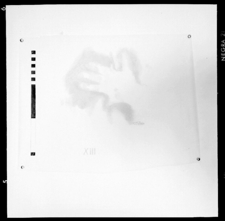 Cueva de Maltravieso. Calcos pinturas. Panel 14