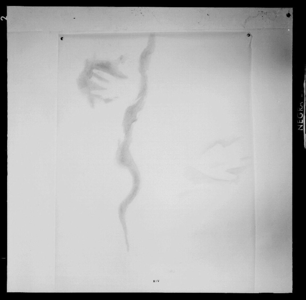 Cueva de Maltravieso. Calcos pinturas. Panel 15