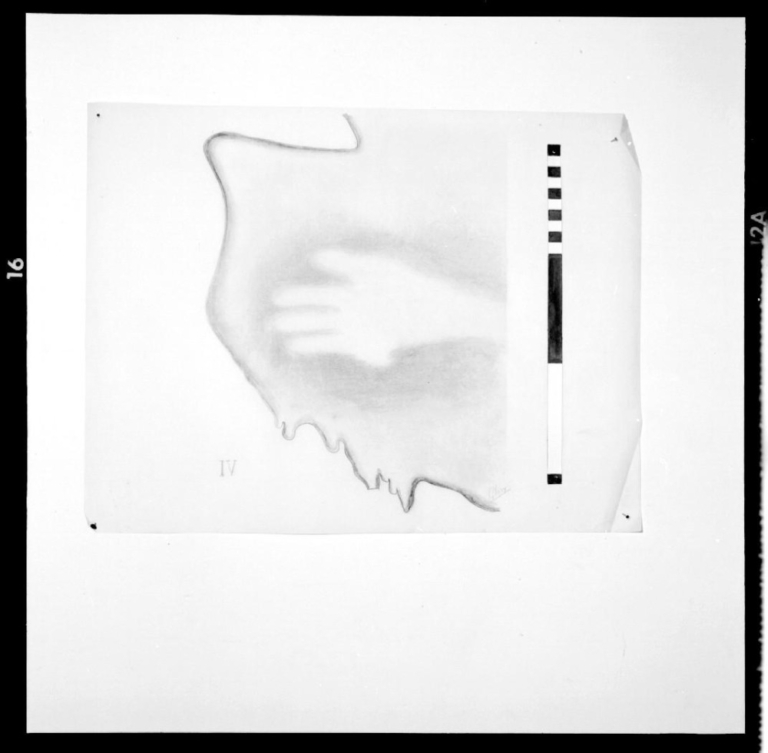 Cueva de Maltravieso. Calcos pinturas. Panel 4