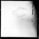 Cueva de Maltravieso. Calcos pinturas. Panel 5 · Carlos Callejo Serrano, 1960