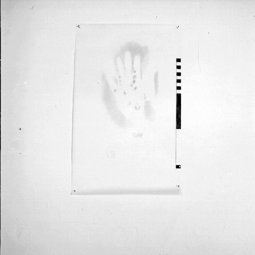 Cueva de Maltravieso. Calcos pinturas. Panel 7