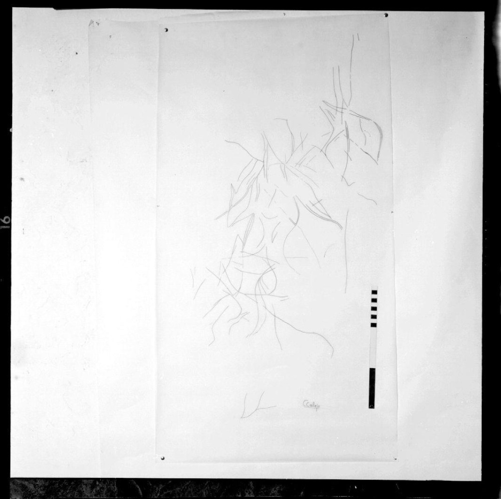 Cueva de Maltravieso. Panel de grabados