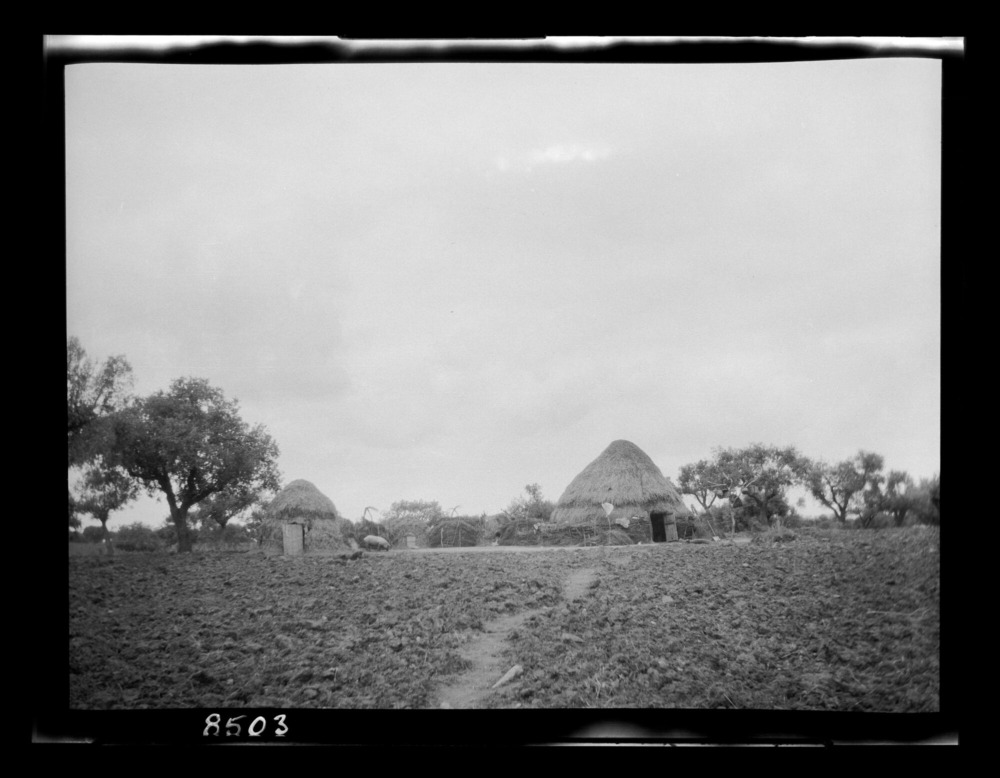 Dehesa de Cerrazuela: casa del pastor, vista lejana