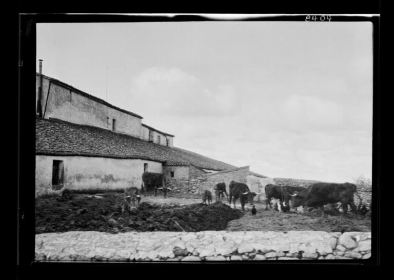 Dehesa de los Arenales: corral del ganado