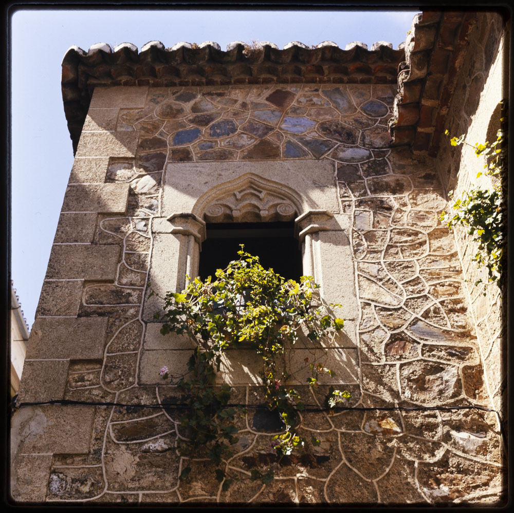 Detalle de un palacio de finales del gótico · Luis Agromayor