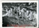 Detalle de una cueva sin identificar, 1950