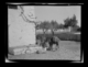 Dos burros comiendo de morrales atados a la cabeza · Ruth Matilda Anderson, 1928