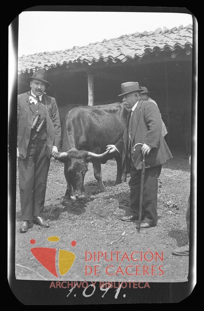 Dos hombres posan con una vaca