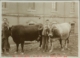 Dos pastores con dos vacas fente al Hospital Provincial · Javier García Téllez, 1928