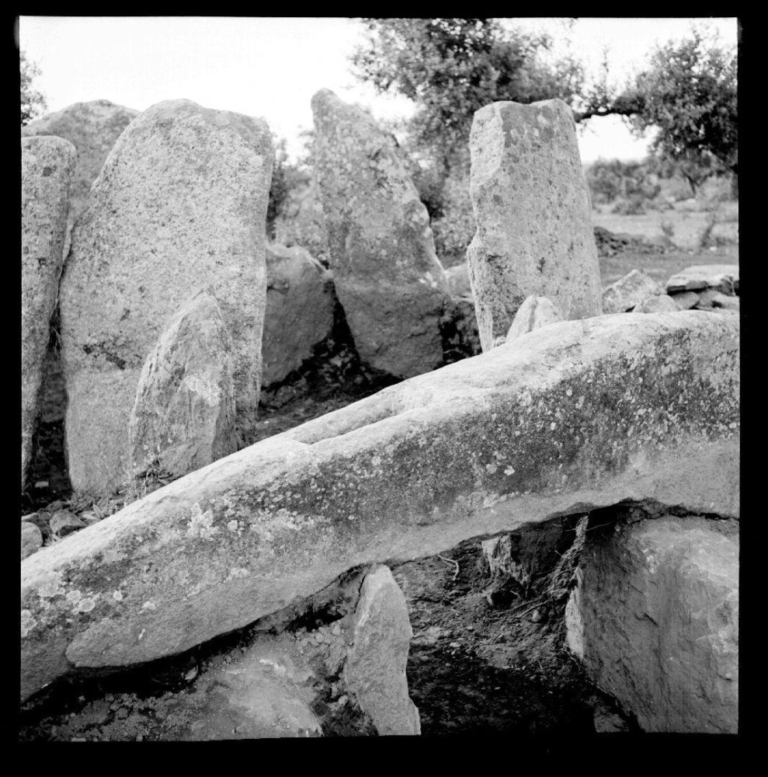 El mismo en otra fase de excavación