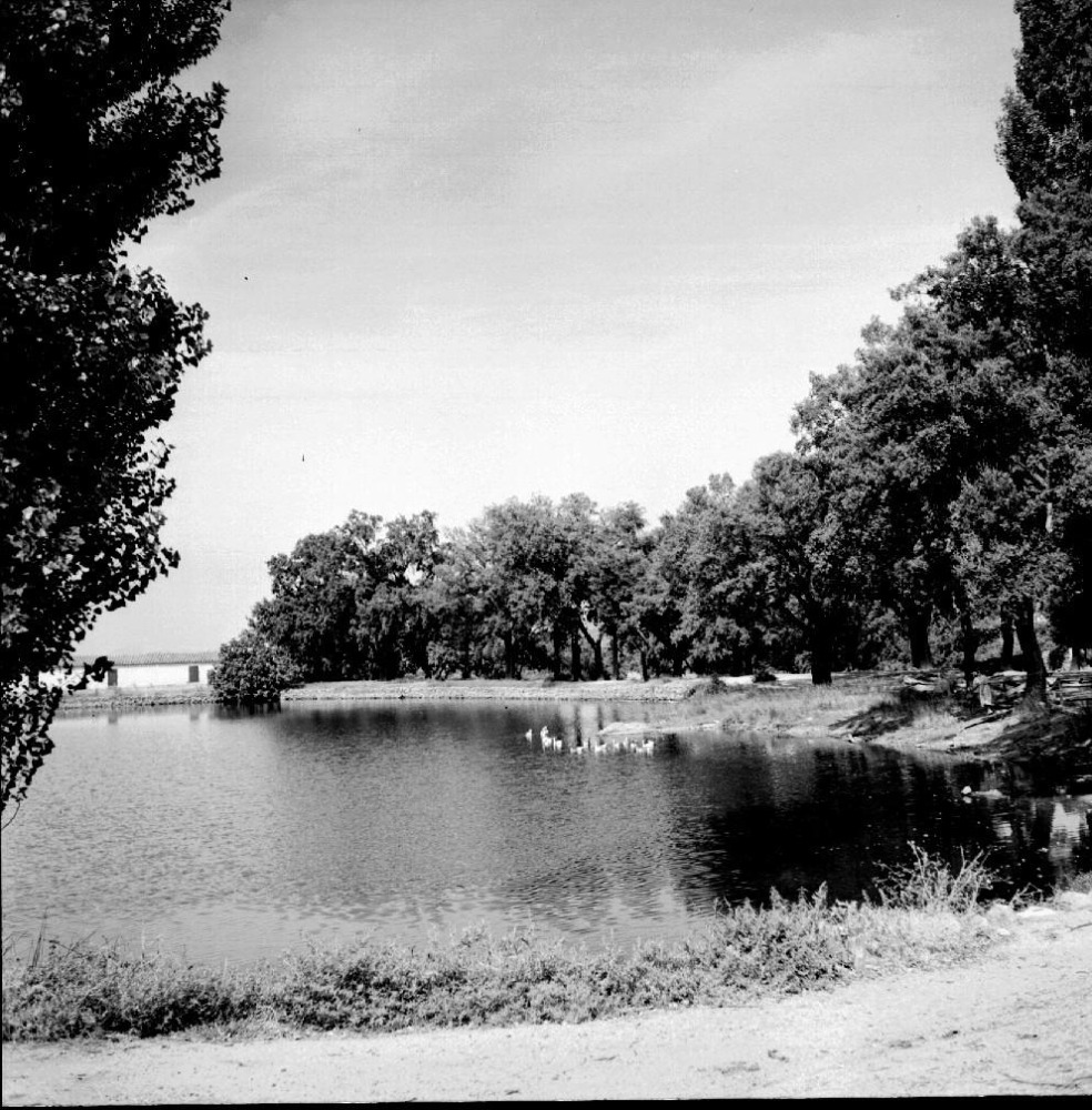 Estanque finca ¿Auditoría¿