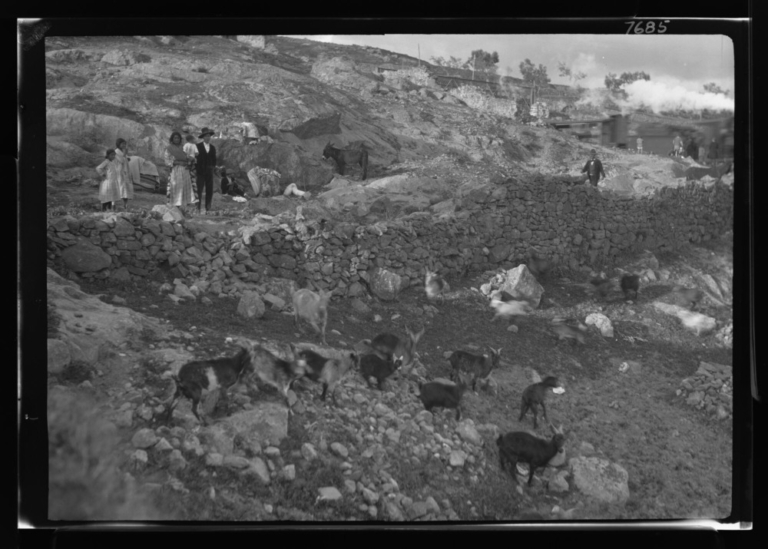 Familia gitana acampada junto al ferrocarril Plasencia-Astorga