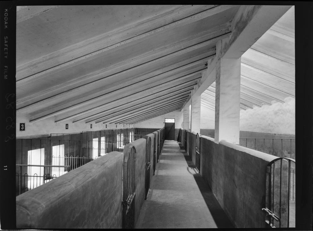 Finca de D. Álvaro en Plasencia · Juan Miguel Pando Barrero, 1962