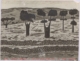 Fotografía de la obra «Paisaje» de Ortega Muñoz, 1968