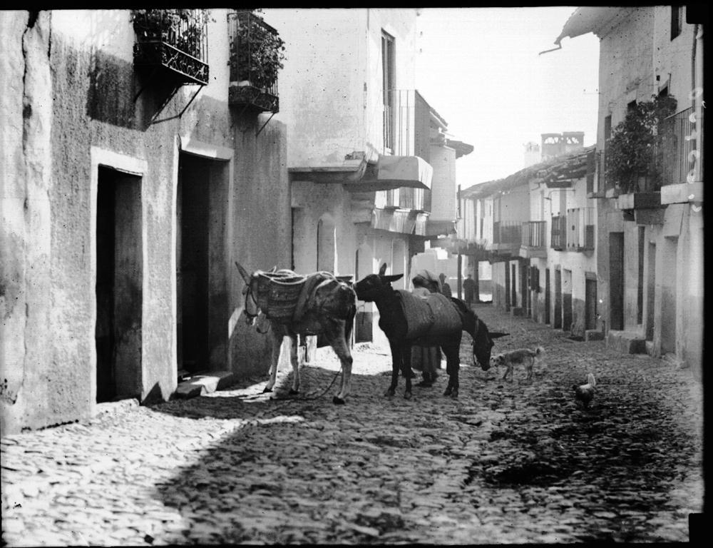Guadalupe: una calle