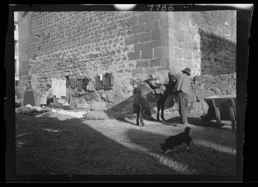 Hombre cargando sacos en una mula