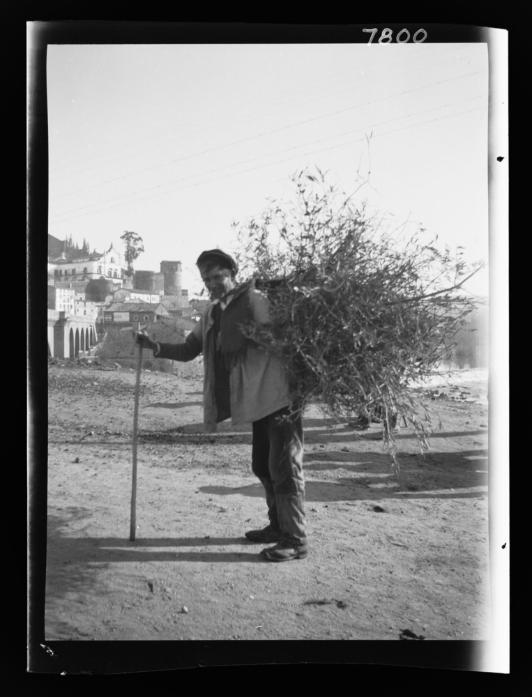 Hombre cargando un haz de ramas de olivo para leña