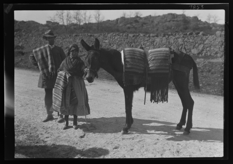 Hombre, mujer y mula