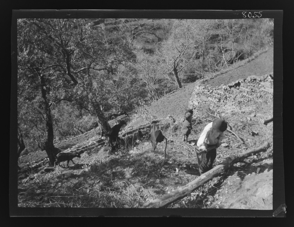 Hombre trabajando en un campo