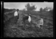 Hombres plantando olivos · Ruth Matilda Anderson, 1928