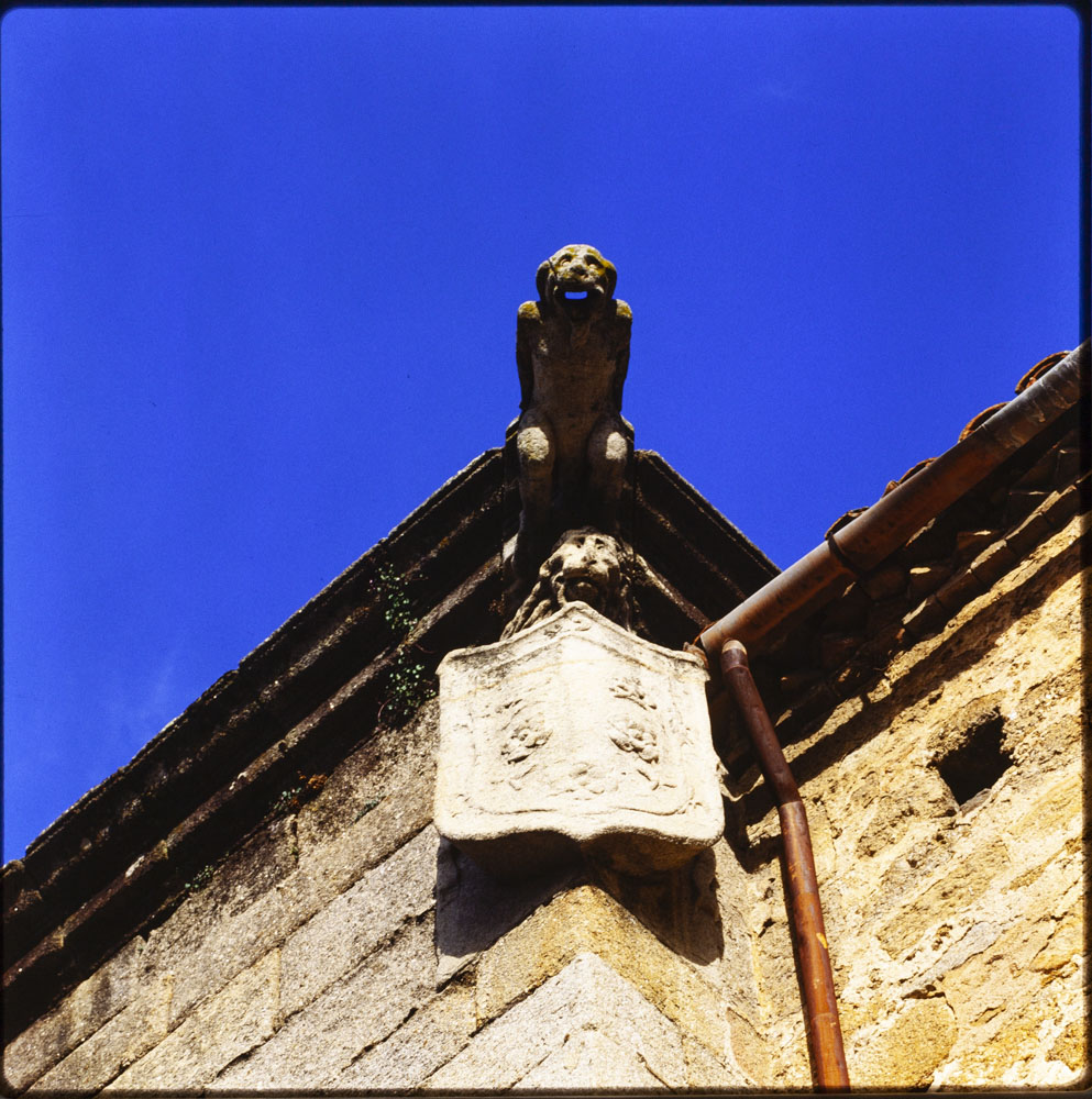 Iglesia de San Martín. Escudo y gárgola