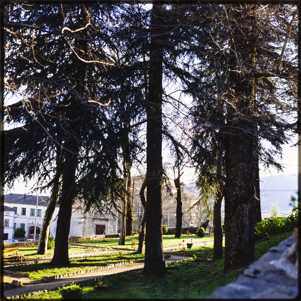 Jarandilla. Jardines del parador nacional · Luis Agromayor