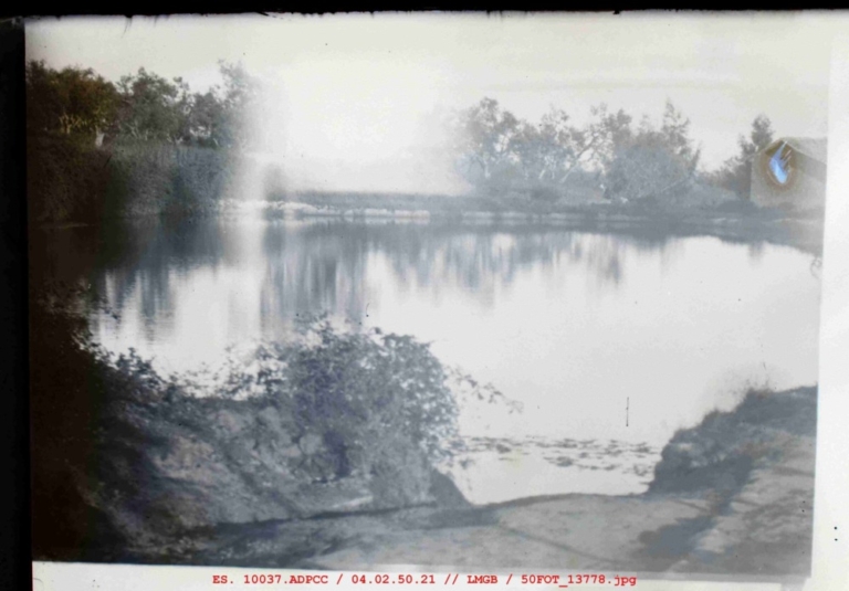 Laguna del Salobrar