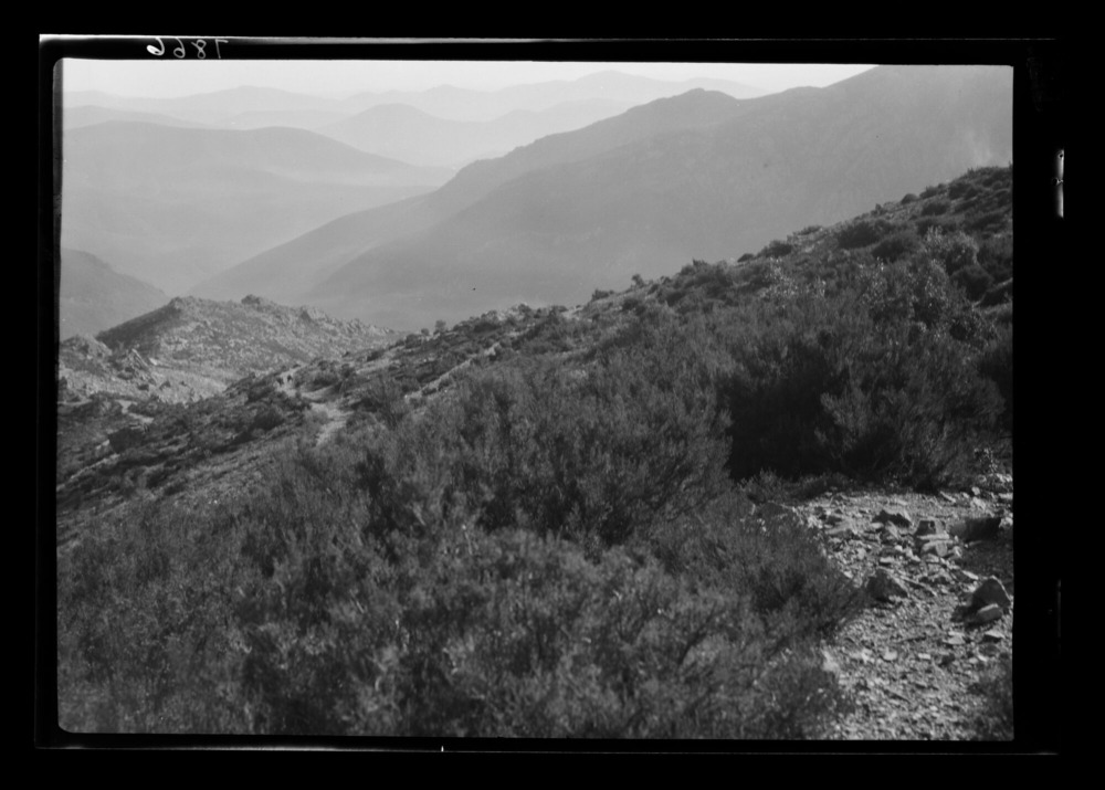 Vista desde El Portillo: laderas cubiertas de brezo y jara