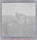 Mujer con perros, 1940