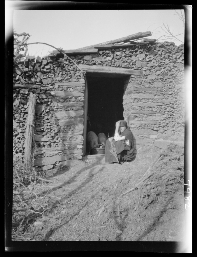 Mujer dando de comer a los cerdos