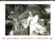 Mujer sentada junto a unas plantas, 1950
